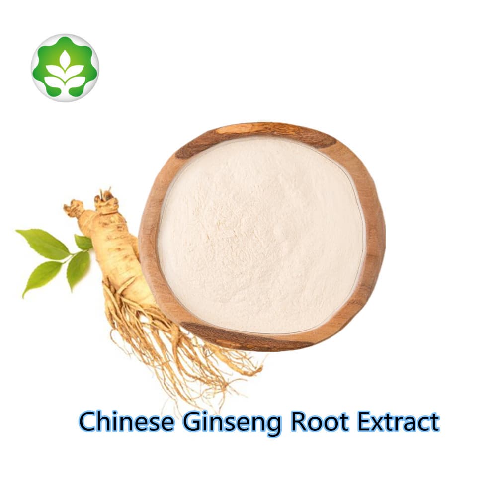 best price low pesticide chinese ginseng root extract